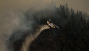 Boston Bar blaze destroys more homes as B.C. wildfire numbers spike - CTV News