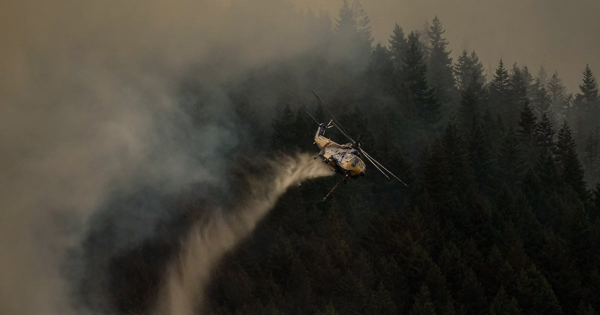 Boston Bar blaze destroys more homes as B.C. wildfire numbers spike - CTV News