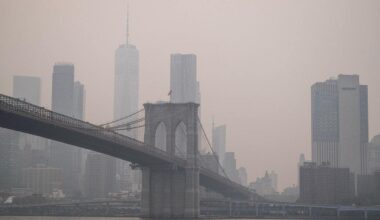 Trump accuses Canada of failing at forest management over wildfires