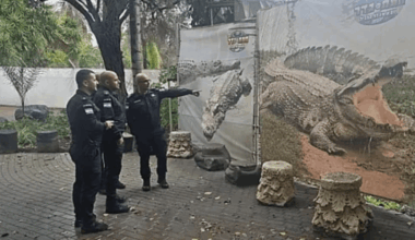 Inspired by Trump, Israel Advances Plan for Crocodile-Ringed Prison for Palestinians