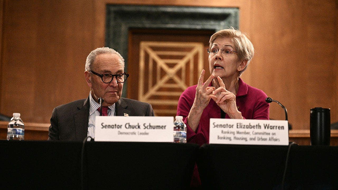 Elizabeth Warren backs El-Sayed in split from Schumer in Michigan Senate race