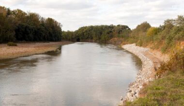 Several people found dead after going missing on popular river in the Midwest