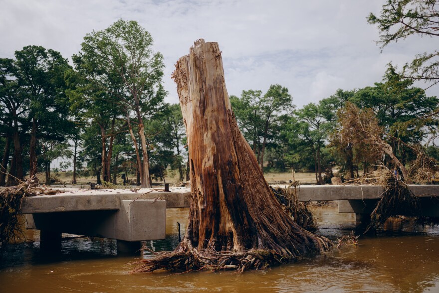 A large uprooted tree stump sits in water leaning against a small bridge.