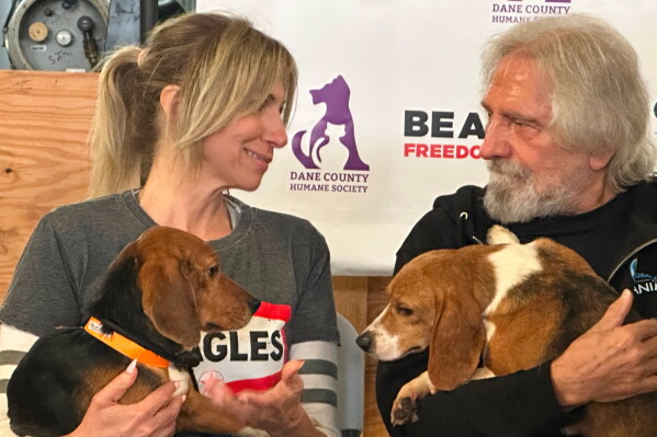Pop star Debbie Gibson and Black Sabbath co-founder Terry "Geezer" Butler hold beagles that were purchased from a Dane County animal research facility on Tuesday, May 12, 2026, in Madison, Wis. (AP Photo/Scott Bauer)