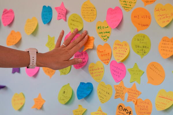 A visitor reaches toward birthday messages for Punch, a young Japanese macaque, displayed ahead of his first birthday at the Ichikawa City Zoological and Botanical Garden in Ichikawa, east of Tokyo, Thursday, July 23, 2026. (AP Photo/Eugene Hoshiko)