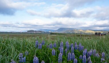 Magnitude 5.8 earthquake strikes Alaskan islands along Pacific Ring of Fire