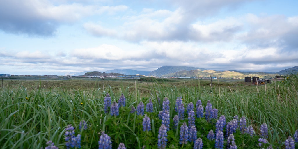 Magnitude 5.8 earthquake strikes Alaskan islands along Pacific Ring of Fire