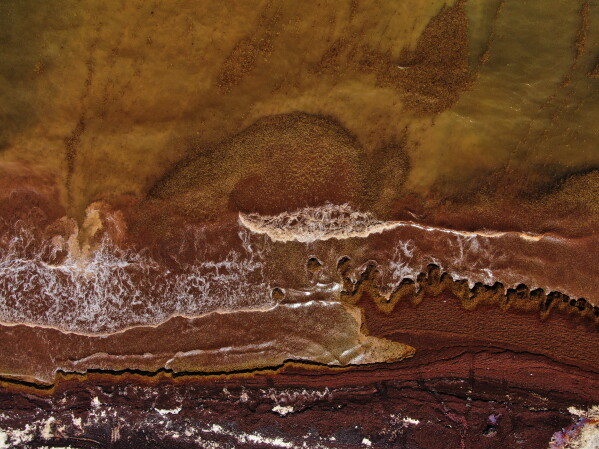 Sargassum covers the coast of Tulum, Mexico, Thursday, July 30, 2026. (AP Photo/Fernando Llano)
