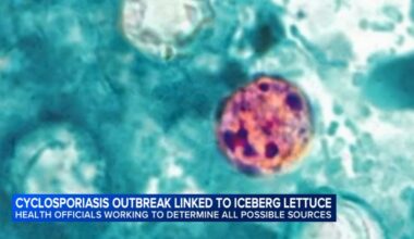 Cyclosporiasis outbreak linked to shredded iceberg lettuce expands to 9 new states as parasite cases causing diarrhea rise