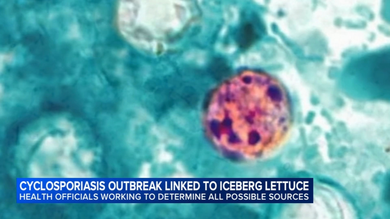 Cyclosporiasis outbreak linked to shredded iceberg lettuce expands to 9 new states as parasite cases causing diarrhea rise