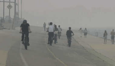 Air quality alert in effect in Chicago area as smoke returns – NBC Chicago