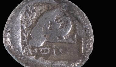 Beach worker searching for lost items finds rare 2,500-year-old Cypriot coin