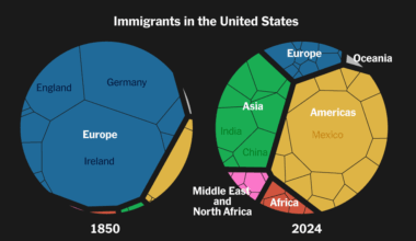 How a Nation of Immigrants Traces Its Roots