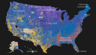 An American Mosaic - The New York Times
