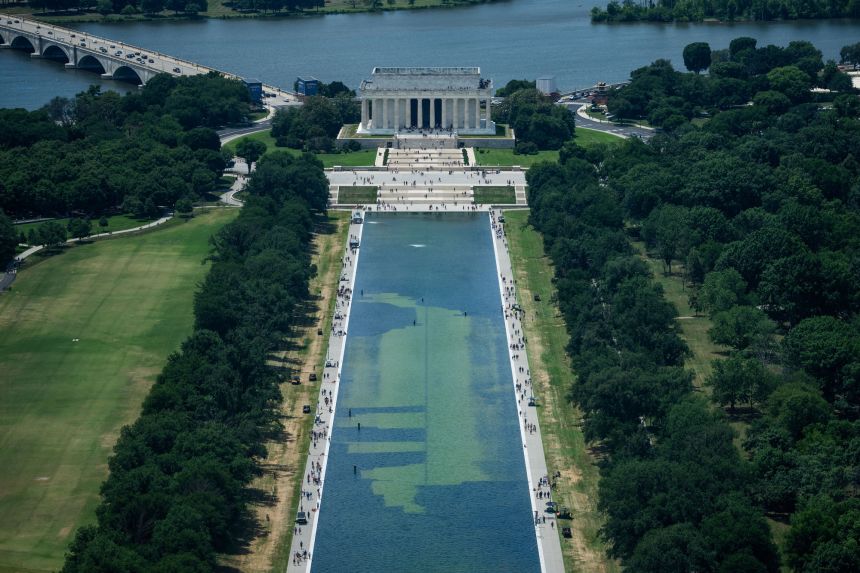 Algae blooms are turning the Lincoln Memorial reflecting pool green, after President Trump ordered the bottom be coated in 
