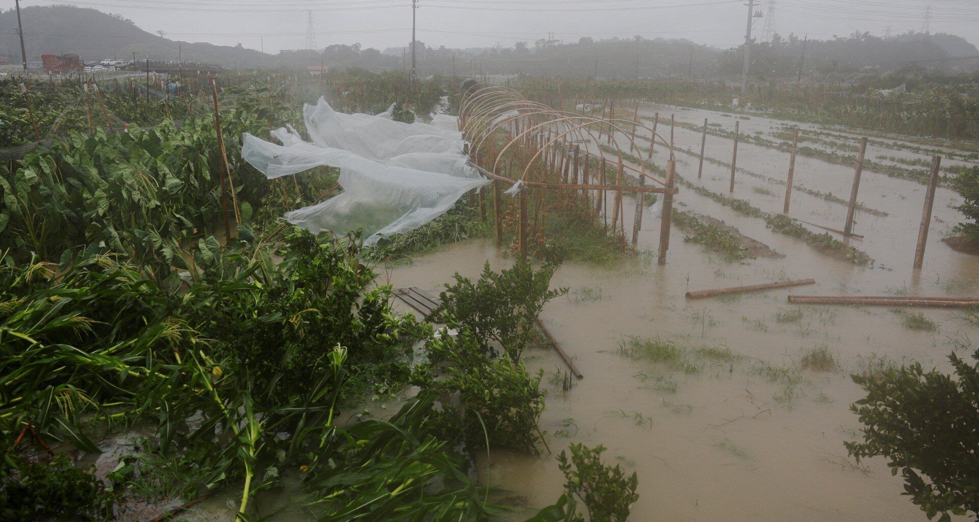 Typhoon Bavi weakens to tropical storm as it slams into eastern China | Weather News