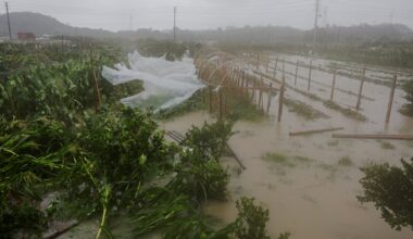 Typhoon Bavi weakens to tropical storm as it slams into eastern China | Weather News