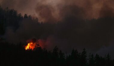 B.C. wildfire tally surges past 100 as lightning transforms fire season in a flash - CTV News