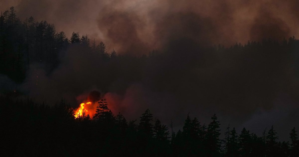 B.C. wildfire tally surges past 100 as lightning transforms fire season in a flash - CTV News