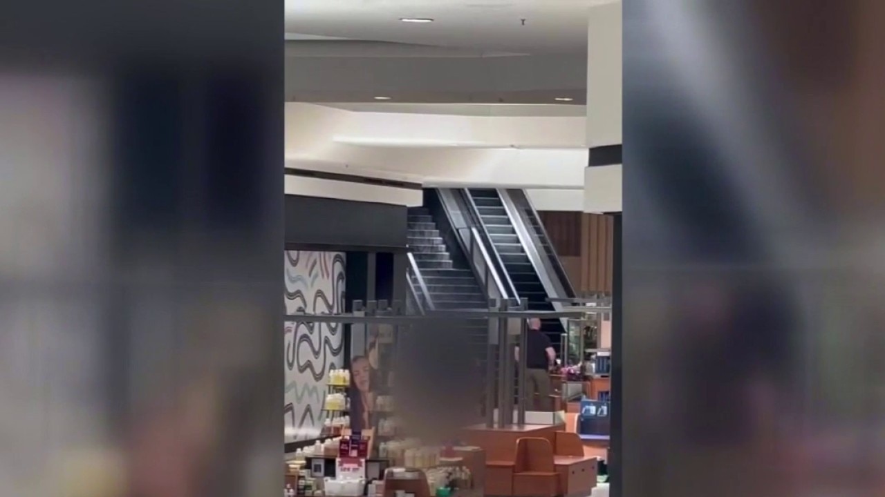 Fairlane Town Center on lockdown after deadly shooting