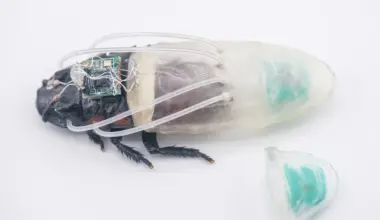 3d Printed Suit For Cyborg Insects