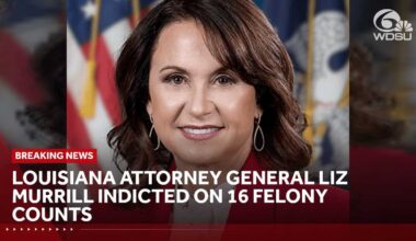Liz Murrill indicted on 16 felony counts