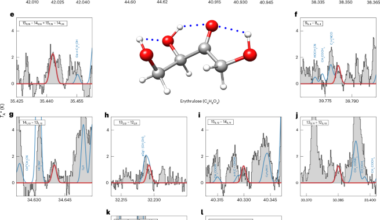 Detection of a four-carbon sugar in interstellar space