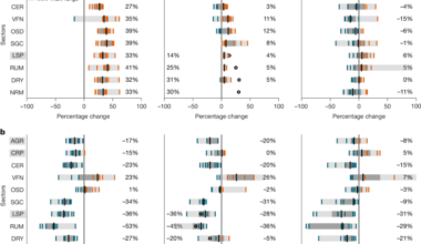 Food systems transformation would reshape global agriculture