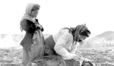 The Jerusalem Post - Israel News