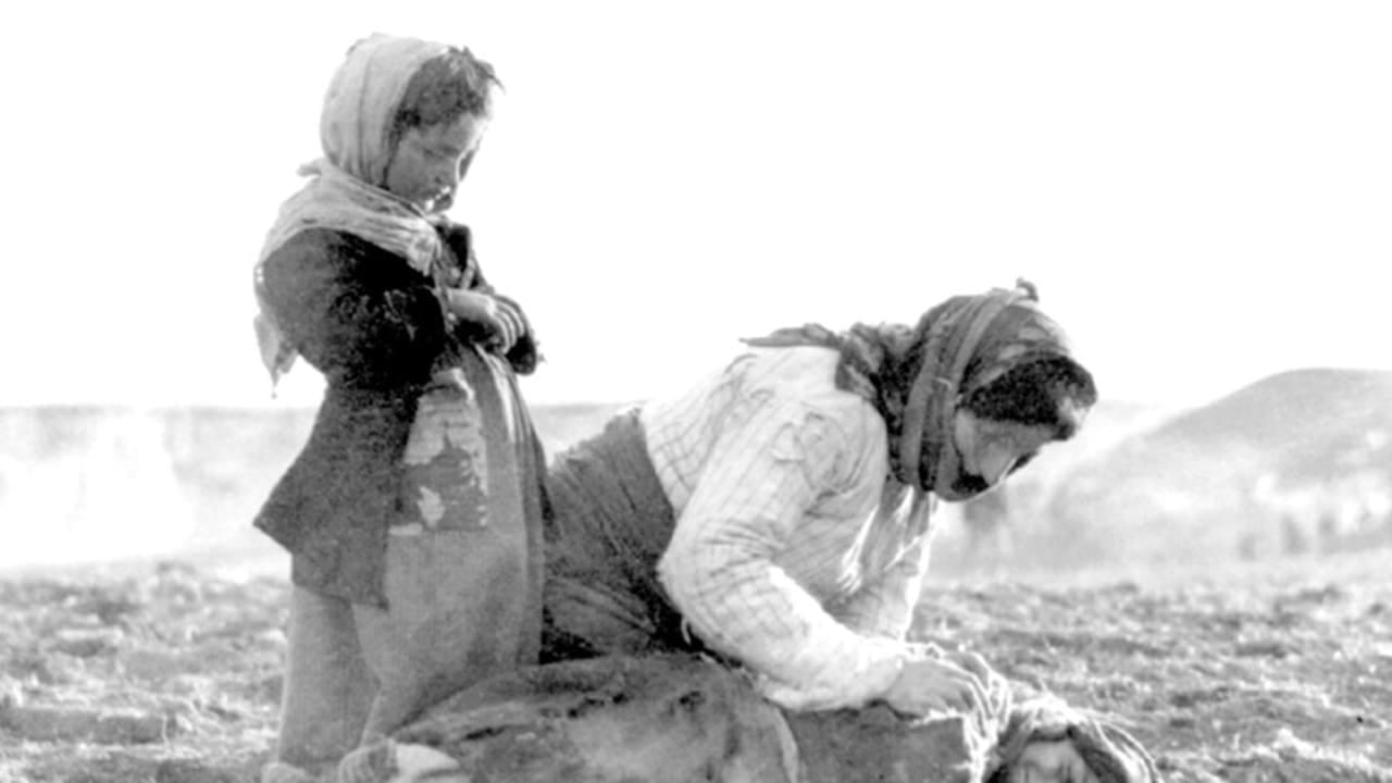 The Jerusalem Post - Israel News