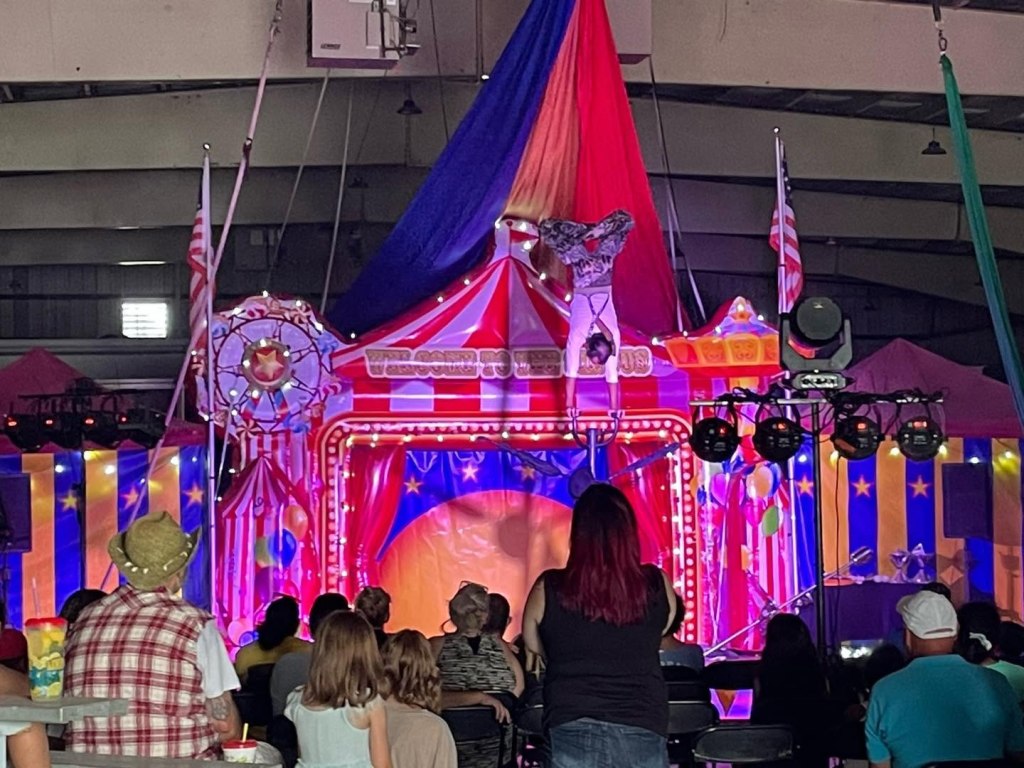 Audience watching a circus performer on stage.