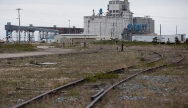 Port of Churchill to ship Prairie grain for first time in years as it pushes for expansion