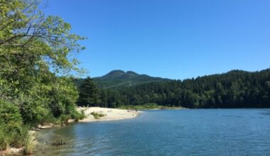 Paddleboarder drowns in B.C. lake, RCMP say - CTV News