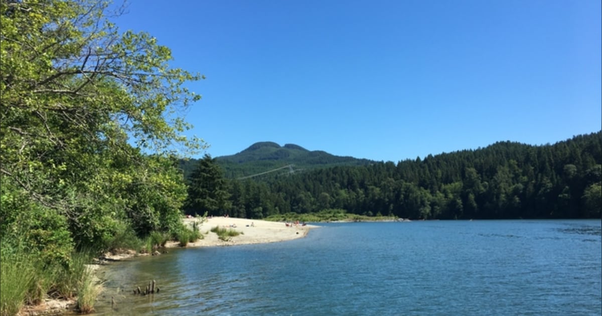 Paddleboarder drowns in B.C. lake, RCMP say - CTV News