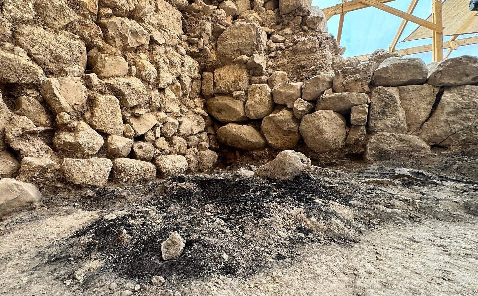 Rare well-preserved Iron Age wood offers evidence of First Temple’s destruction in Jerusalem