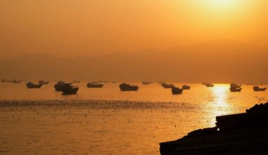 Japan-linked ships escape Hormuz in convoy through Iran route