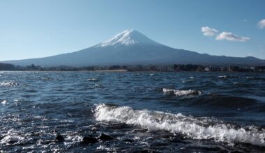 Head of Swiss euthanasia firm dies after collapsing while ascending Mount Fuji