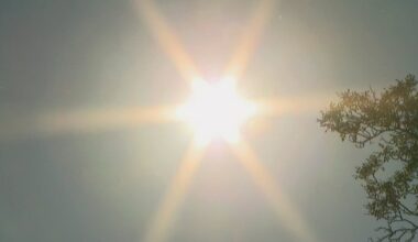 Heat dome building over U.S. to push scorching temperatures into Canada - CTV News
