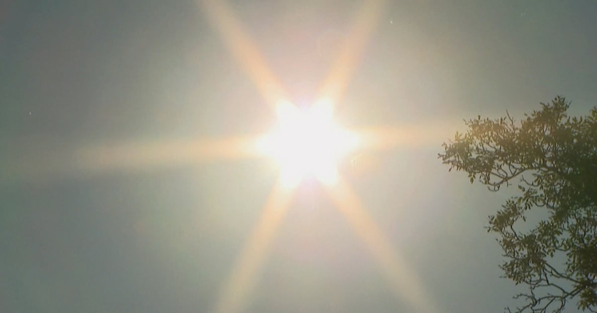 Heat dome building over U.S. to push scorching temperatures into Canada - CTV News