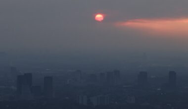 High proportion of Canadian wildfire smoke originates below ground, scientists report