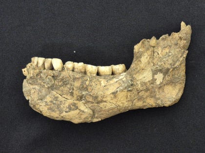 mandible of Qafzeh-25