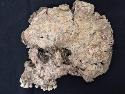 mandible of Qafzeh-25