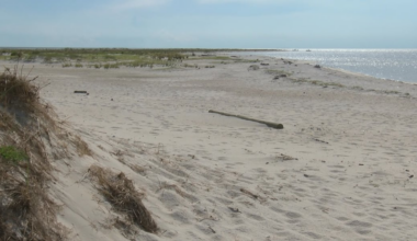 GPS data tracks boat movement before Nolan Wells’ disappearance and death