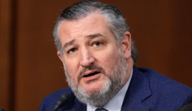 AWKWARD! Ted Cruz Gets Busted By His Own Past Words On Birthright Citizenship