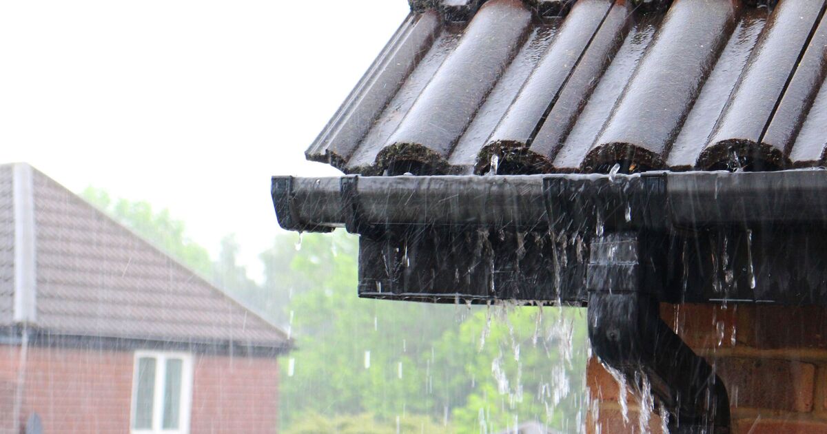 When will it rain? Met Office gives verdict on next rain forecast for UK | Weather | News