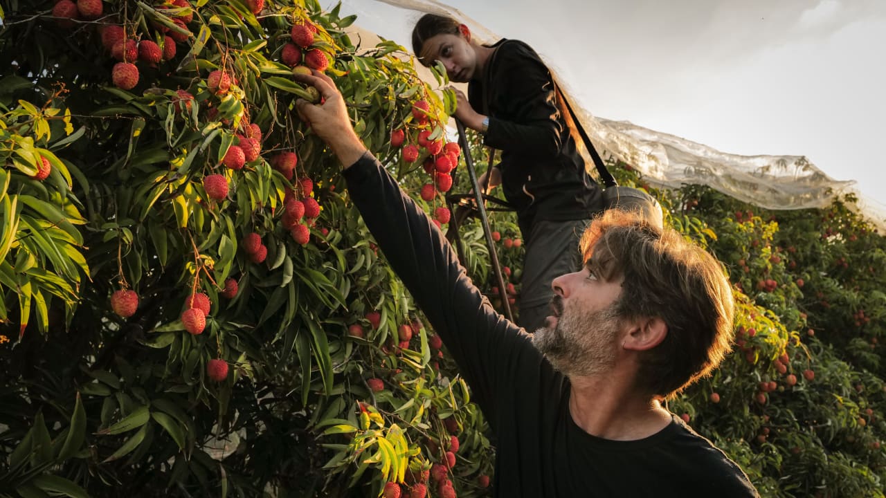 The Jerusalem Post - Israel News