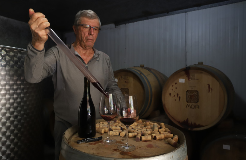 At Moa Winery, wines are characterized by the combination of desert sun, sharp temperature drops, loess soil, and aridity.