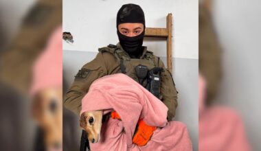 The Jerusalem Post - Israel News