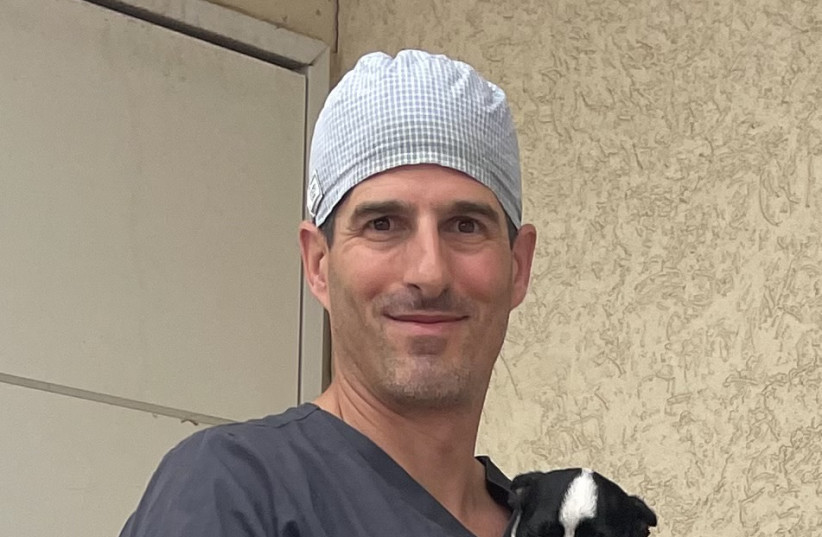 Dr. Tal Assif, head of the Lod municipal animal shelter.