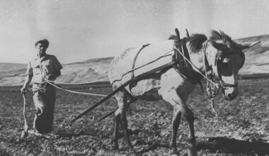 The Jerusalem Post - Israel News